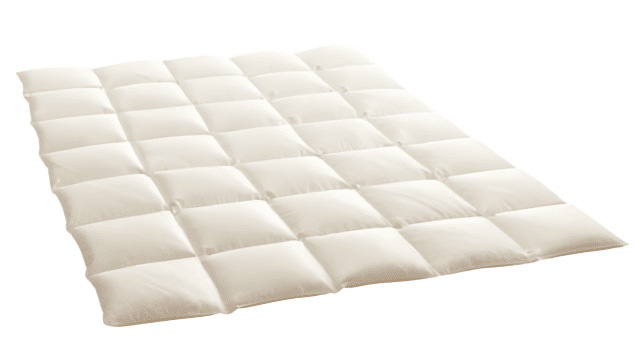 Dauny Eider Medium E1698061524226
